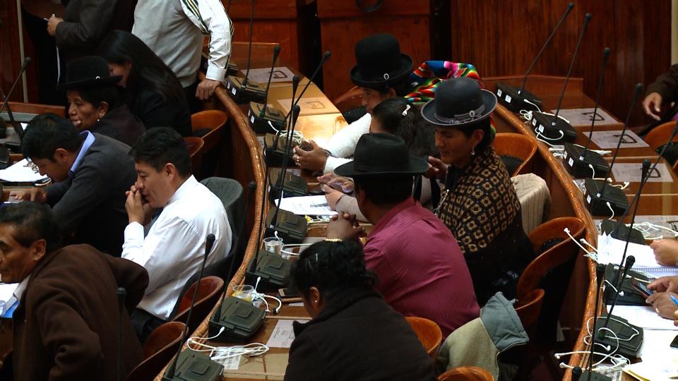 Parlamentarias en Asamblea Legislativa Plurinacional de Bolivia / A.C