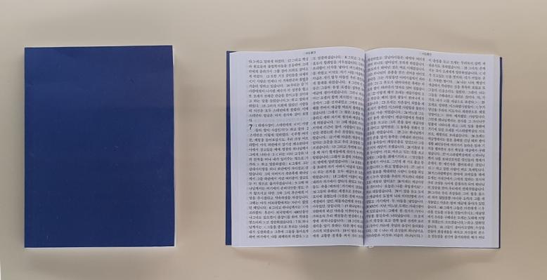 Nuevo Testamento en coreano. Sin datos de edición, 2002. Foto: J.C.L.G.