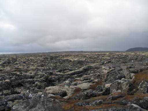 Campo de lava, cubierta de musgo, en cercanías de Reykjavic. F.N.