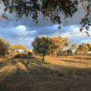 <p>Finca en Extremadura. </p>