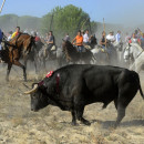 <p>Torneo del toro de Vega, en Tordesillas, el 14 de septiembre de 2010. </p>