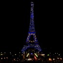 <p>La torre Eiffel iluminada con la bandera de la UE durante la presidencia francesa del Consejo de Europa en 2008.</p>