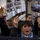 <p>Manifestación en diciembre de 2013 por el accidente del <em>Prestige</em>.</p>