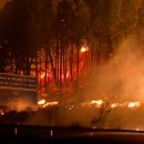 <p>Incendio cerca del municipio de Nigrán (Pontevedra), la noche del 15 de octubre. </p> (: TVE)