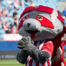 <p>Indi, la mascota del Atlético de Madrid.</p>