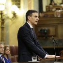 <p>Pedro Sánchez, durante el debate de la moción de censura en el Congreso de los Diputados. 1 de junio de 2018. </p>
