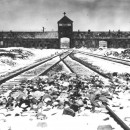 <p>Auschwitz (Oświęcim, Polonia).</p>