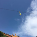 <p>Un lazo amarilo, colgado del tendido eléctrico.</p>