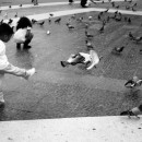 <p>Niños jugando en la Plaza Cataluña, Barcelona. </p> (: Javi Sánchez de la Viña)