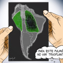 <p>Amazonia, incendios, catástrofe ambiental</p>