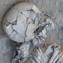 <p>Uno de los cráneos descubierto en Tell Qarassa.</p>
