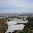 <p>Invernaderos en El Ejido (Almería).</p>