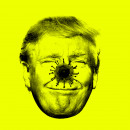 <p>Donald Clown</p>