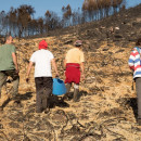 <p>Los voluntarios caminan entre la paja que han dejado sobre la tierra quemada.</p>