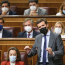 <p>Pablo Casado, durante la sesión de control al Gobierno. </p>