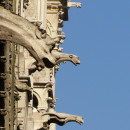 <p>Gárgolas de la catedral de Notre-Dame (París).</p>