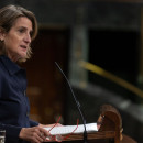 <p>Teresa Ribera, ministra para la Transición Ecológica, durante la sesión plenaria del 23 de noviembre de 2022.</p>