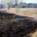 <p>Pequeño incendio en una parcela junto al canal de Sevilla Este, agosto de 2014.</p>