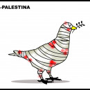 <p>Israel-Palestina.</p>