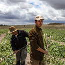 <p>Lele y su hijo trabajando la tierra. Ojos del Guadiana, Ciudad Real. / <strong>M. M.</strong></p> (: )