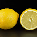 <p>Limones. / <strong>Wikimedia Commons</strong></p>