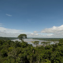 <p>Desde 1989, el parque nacional Yasuní está considerado como una de las zonas con mayor diversidad del planeta. / <strong>Flickr</strong></p>