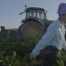 <p>Trabajos agrícolas en la finca El Humoso de Marinaleda, de gestión colectiva. /<strong> AJ+ Español (Youtube)</strong></p>
