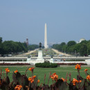 <p>Monumento a George Washington en Washington, D.C., Estados Unidos. / <strong>Diego Delso, delso.photo, Licencia CC-BY-SA</strong></p>