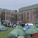 <p>Campamento propalestina de la Universidad de Columbia, Nueva York, el 18 de abril. / <strong>Anna Oakes</strong></p>