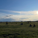 <p>Principio del ocaso en Tempelhofer Feld, un parque construido en las pistas de aterrizaje de uno de los antiguos aeropuertos de Berlín. / <strong>C. G. C.</strong></p>