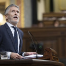 <p>El ministro del Interior dio explicaciones sobre la respuesta a la DANA a una bancada popular poco concurrida el 18 de diciembre. / <strong>Congreso de los Diputados</strong></p>