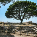 <p>Altar de Pérgamo. / <strong>Wikipedia </strong></p>