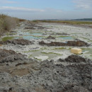 <p>Suelo con residuos tóxicos derivados de la producción de fertilizante en Huelva. /<strong> Santini Rose</strong></p>