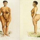 <p>Ilustraciones de Sarah Baartman publicadas en el <span>Volumen II de </span><em>Historia Natural de los Mamíferos</em><span> (1819).</span></p>