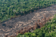<p>Imagen de una franja de deforestación ilegal en la selva amazónica. / <strong>Vinícius Mendonça / Ibama</strong></p>