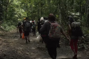 <p>Un grupo de migrantes se adentra en la peligrosa selva del Darién. / <strong>Todo Noticias (Youtube)</strong></p>