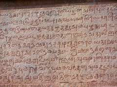 <p>Escritura tamil en las paredes del templo Bragadeeshwara en Thanjavur, India.</p>