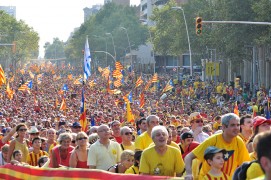 <p> Diada de Cataluña de 2014.</p>