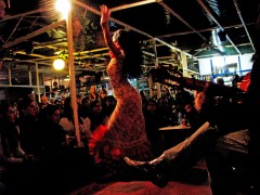 <p>Actuación de flamenco en La Carbonería.</p>