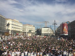 <p>Manifestación en Madrid del PACMA.</p>