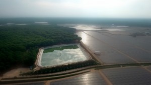 <p>Más de un millar balsas ilegales de regadío acaparan el agua de Doñana.</p>
