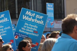 <p>Mitin de Alternativa para Alemania (AfD). Munich, 2013. </p>