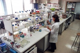 <p>Laboratorio en la Universidad de Chile.</p>