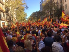 <p>Manifestación a favor de la unidad de España, el 8 de octubre, en Barcelona. </p>