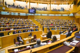 <p>Mariano Rajoy durante su comparecencia en el Senado.</p>