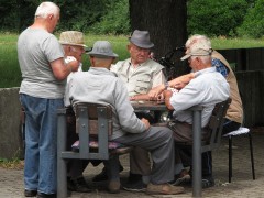 <p>Un grupo de jubilados juega a las cartas.</p>