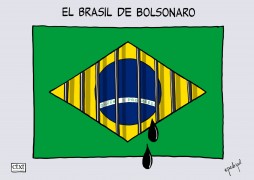 <p>Pena de Brasil</p>