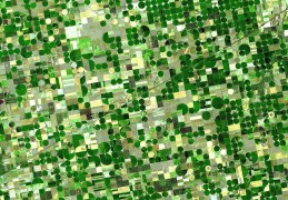 <p>Imagen satelital de plantaciones de cereal en Kansas, EE.UU.</p>