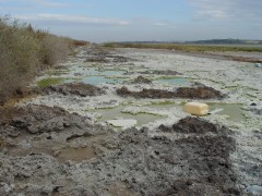 <p>Suelo con residuos tóxicos derivados de la producción de fertilizante en Huelva.</p>