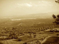 <p>Vista de los cerros de Úbeda. </p>